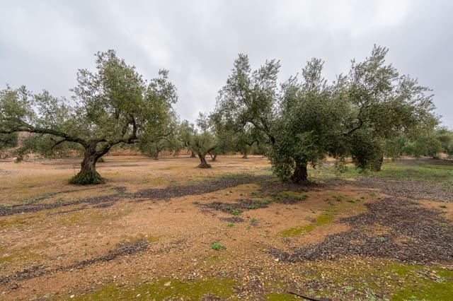 Finca/Herregård til salgs i Vinallop, Tortosa - € 30 000 (Ref: 8811035)