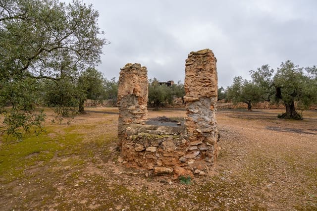 Finca/Herregård til salgs i Vinallop, Tortosa - € 30 000 (Ref: 8811035)