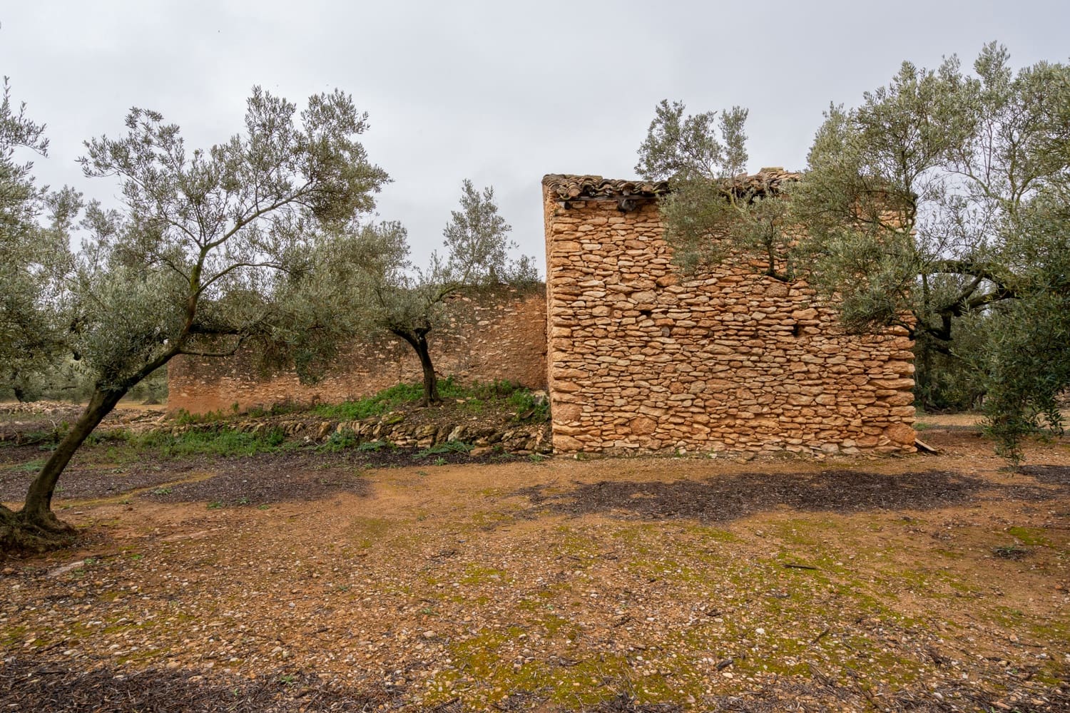 Finca/Landhuis te koop in Vinallop - € 30.000 (Ref: 8811035)