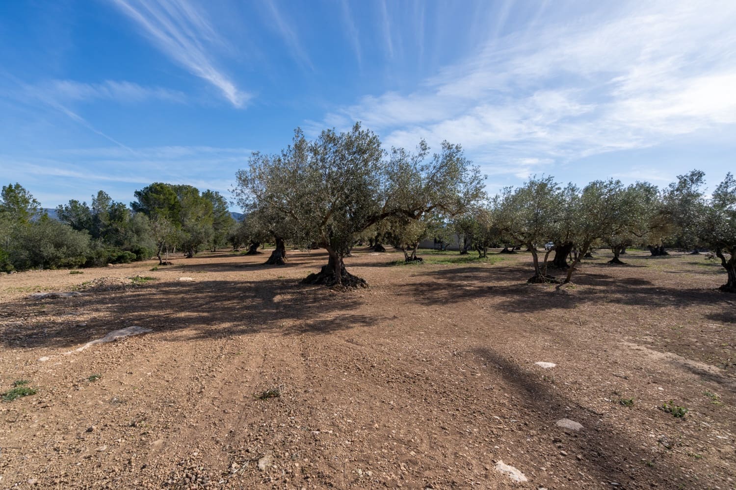 2 soveværelse Finca/Landehus til salg i Tortosa - € 53.000 (Ref: 8813448)