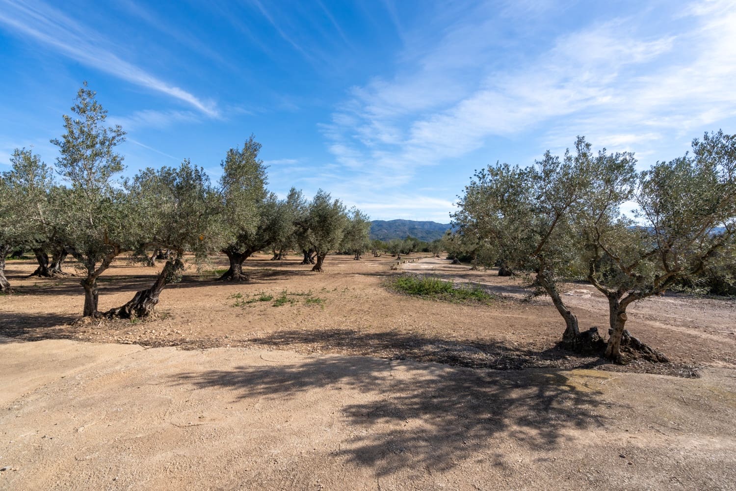 2 soveværelse Finca/Landehus til salg i Tortosa - € 53.000 (Ref: 8813448)