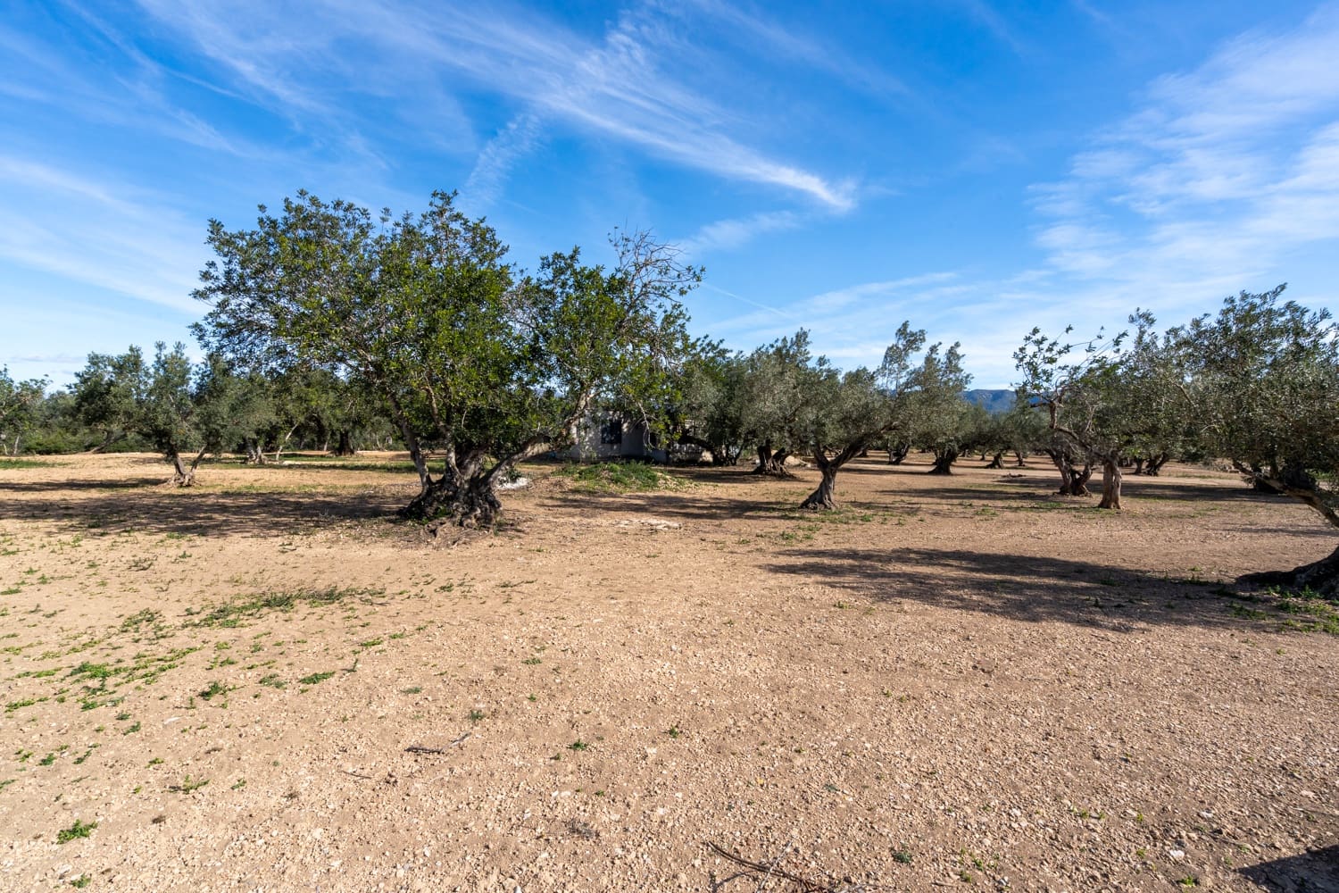 2 soveværelse Finca/Landehus til salg i Tortosa - € 53.000 (Ref: 8813448)