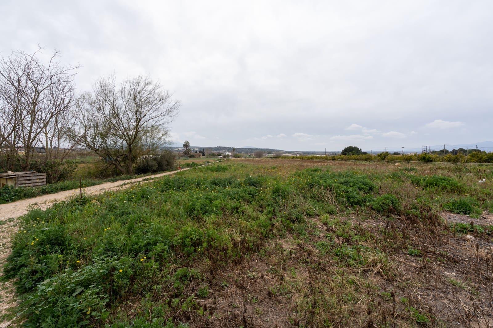 Finca/Landehus til salg i Camp-redo - € 265.000 (Ref: 8854357)