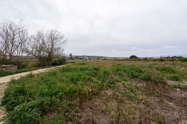 Finca/Country House for sale in Camp-redo, Tortosa - € 265,000 (Ref: 8854357)