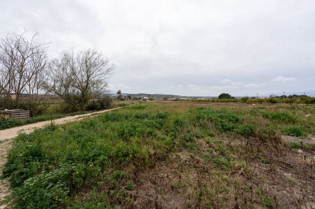 Finca/Casa Rural en Tortosa en venta - 255.000 € (Ref: 8854357)