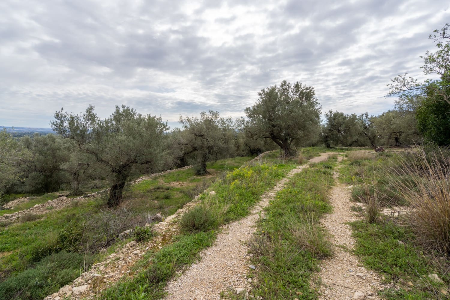 Finca/Herregård til salgs i Mas de Barberans - € 70 000 (Ref: 8897245)