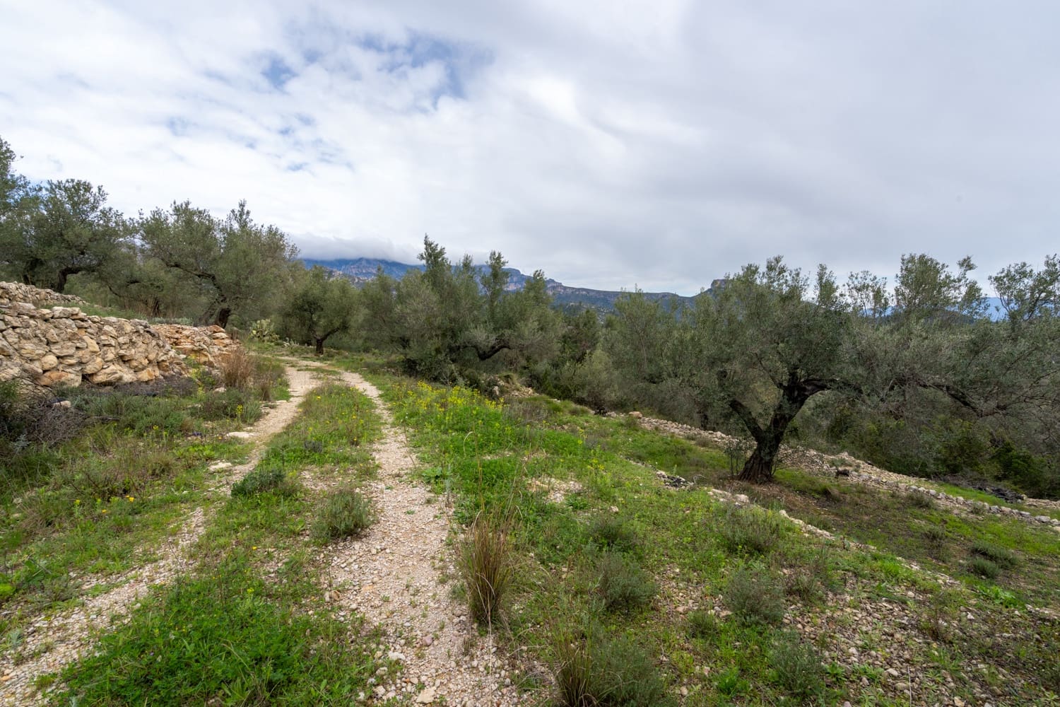 Finca/Herregård til salgs i Mas de Barberans - € 70 000 (Ref: 8897245)