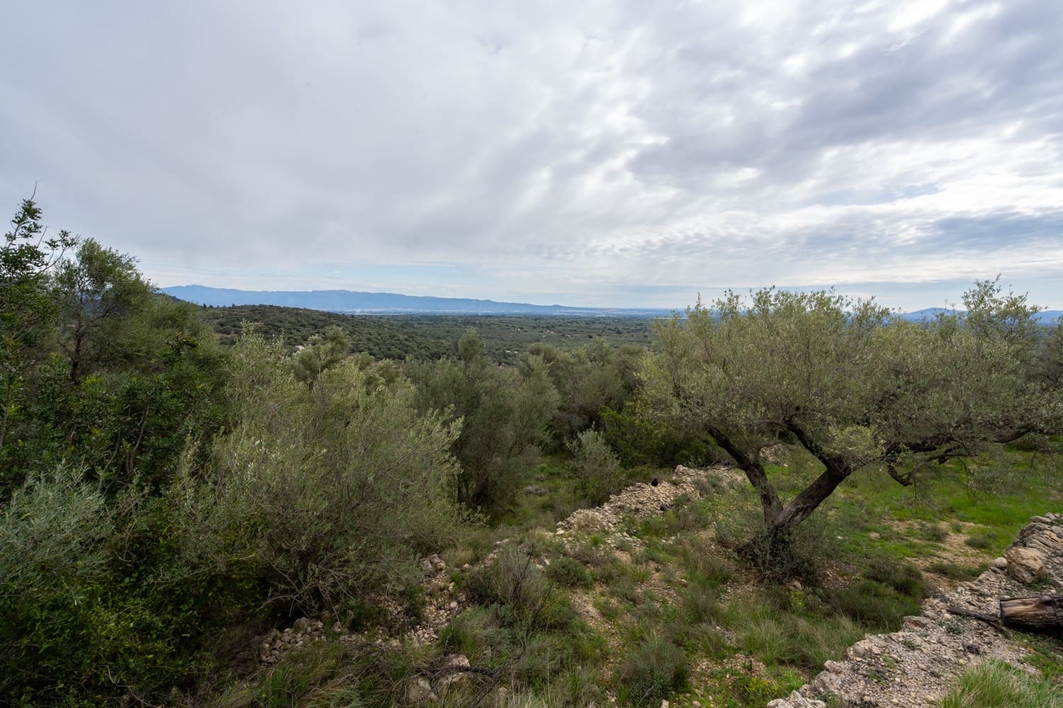 Finca/Herregård til salgs i Mas de Barberans - € 70 000 (Ref: 8897245)