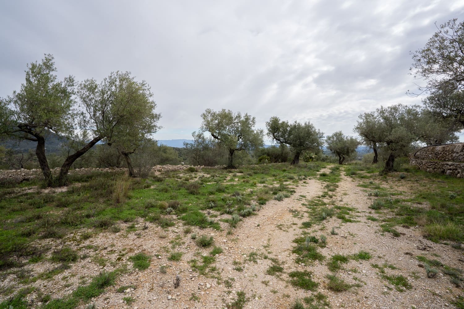 Finca/Herregård til salgs i Mas de Barberans - € 70 000 (Ref: 8897245)