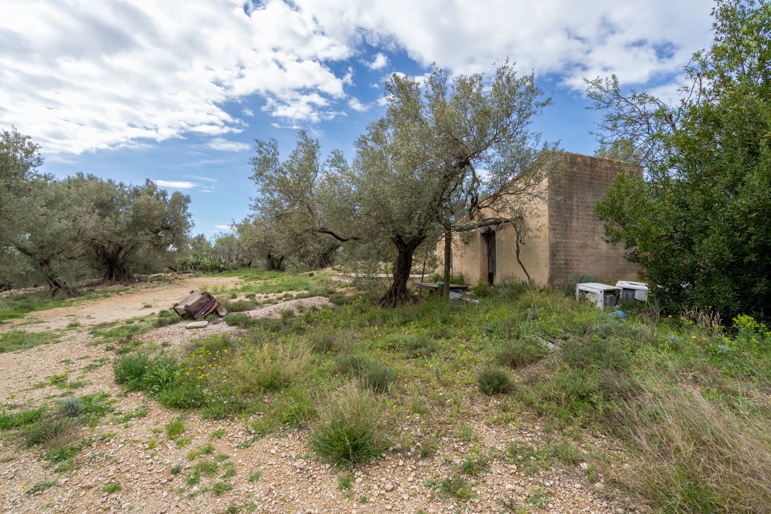 Finca/Herregård til salgs i Mas de Barberans - € 70 000 (Ref: 8897245)