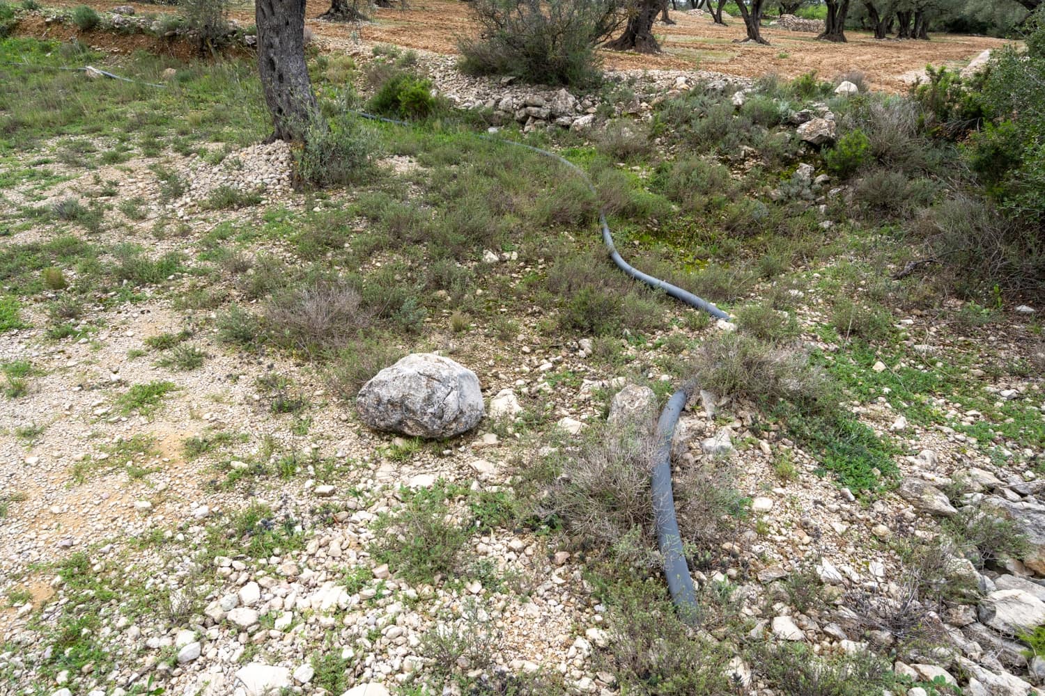 Finca/Herregård til salgs i Mas de Barberans - € 70 000 (Ref: 8897245)