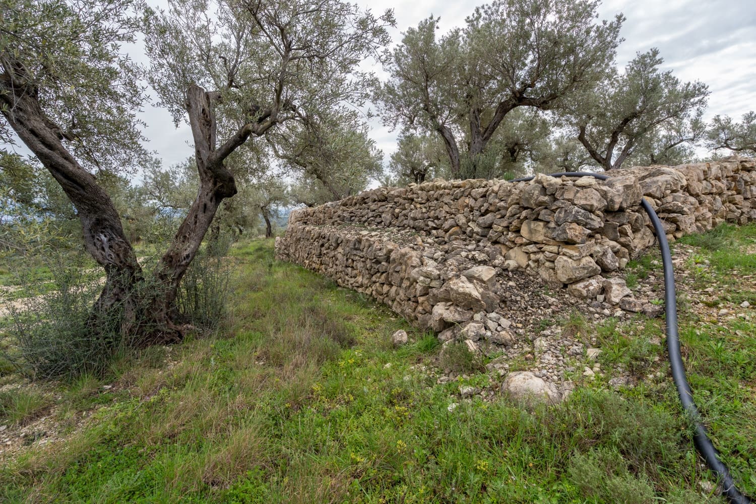 Finca/Herregård til salgs i Mas de Barberans - € 70 000 (Ref: 8897245)