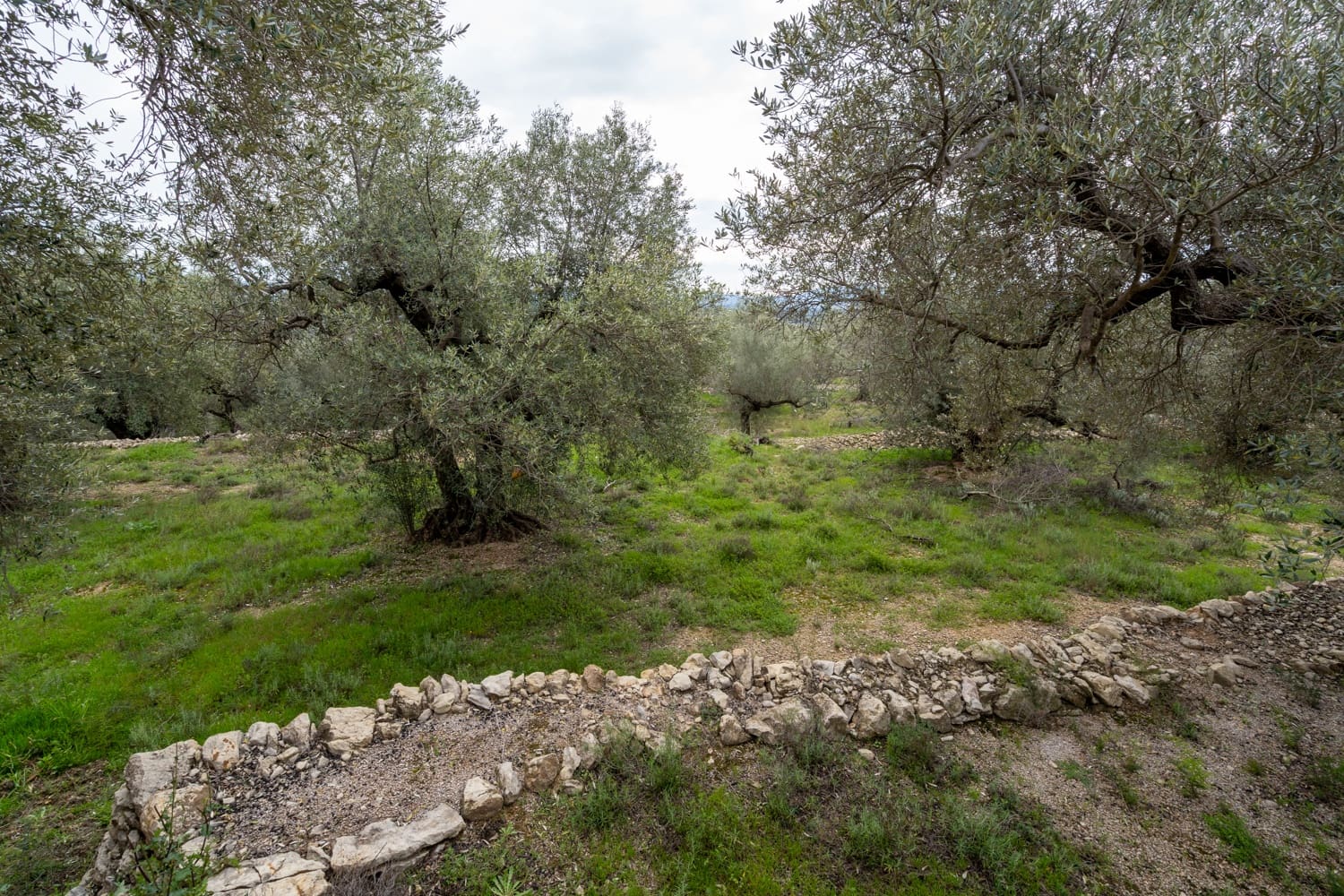 Finca/Herregård til salgs i Mas de Barberans - € 70 000 (Ref: 8897245)