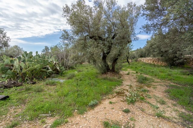 Finca/Herregård til salgs i Mas de Barberans - € 70 000 (Ref: 8897245)