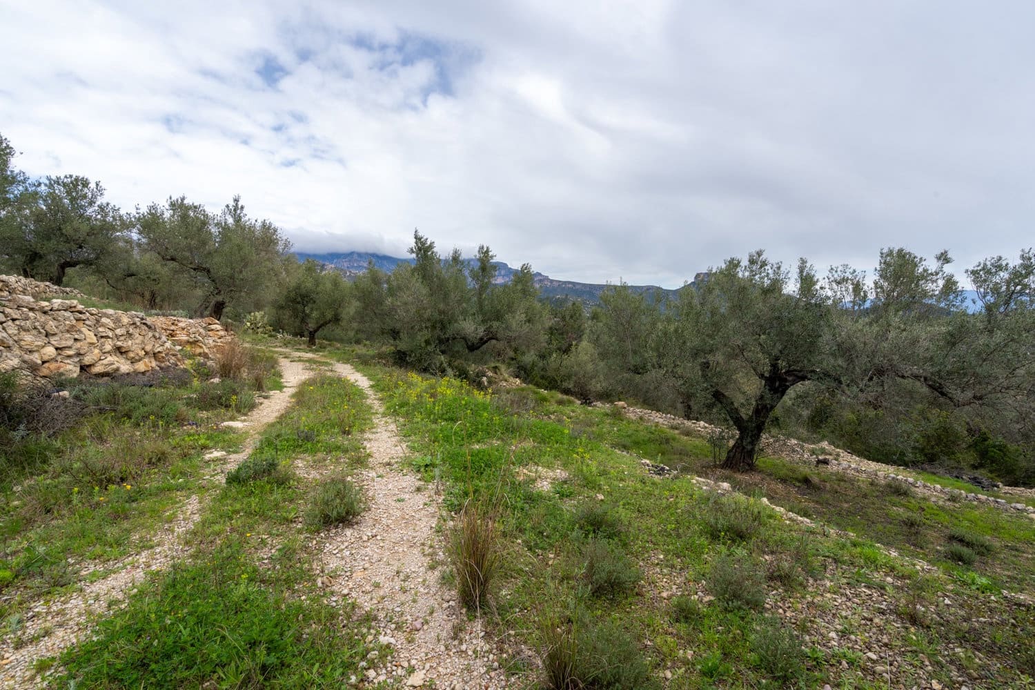 Finca/Landhuis te koop in Mas de Barberans - € 70.000 (Ref: 8897245)