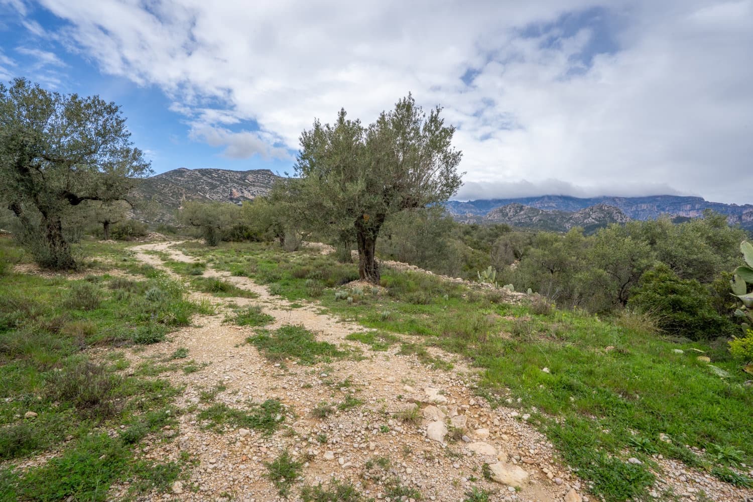 Finca/Landhuis te koop in Mas de Barberans - € 70.000 (Ref: 8897245)