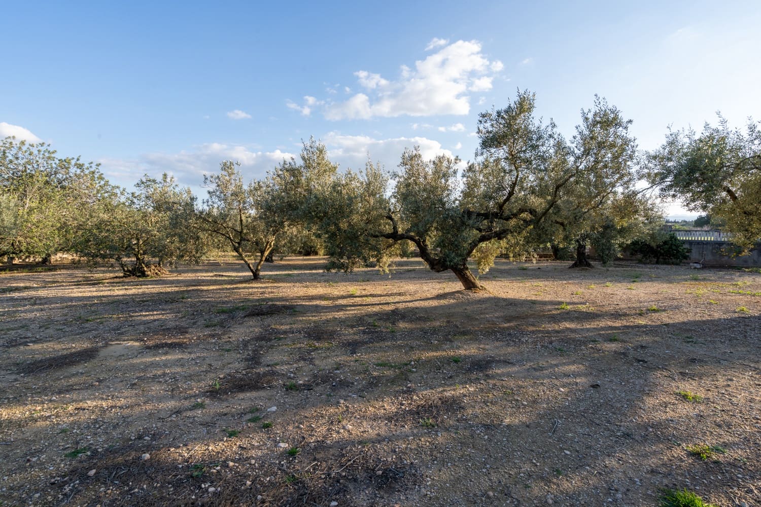 3 soverom Villa til salgs i Tortosa med svømmebasseng - € 375 000 (Ref: 8903175)