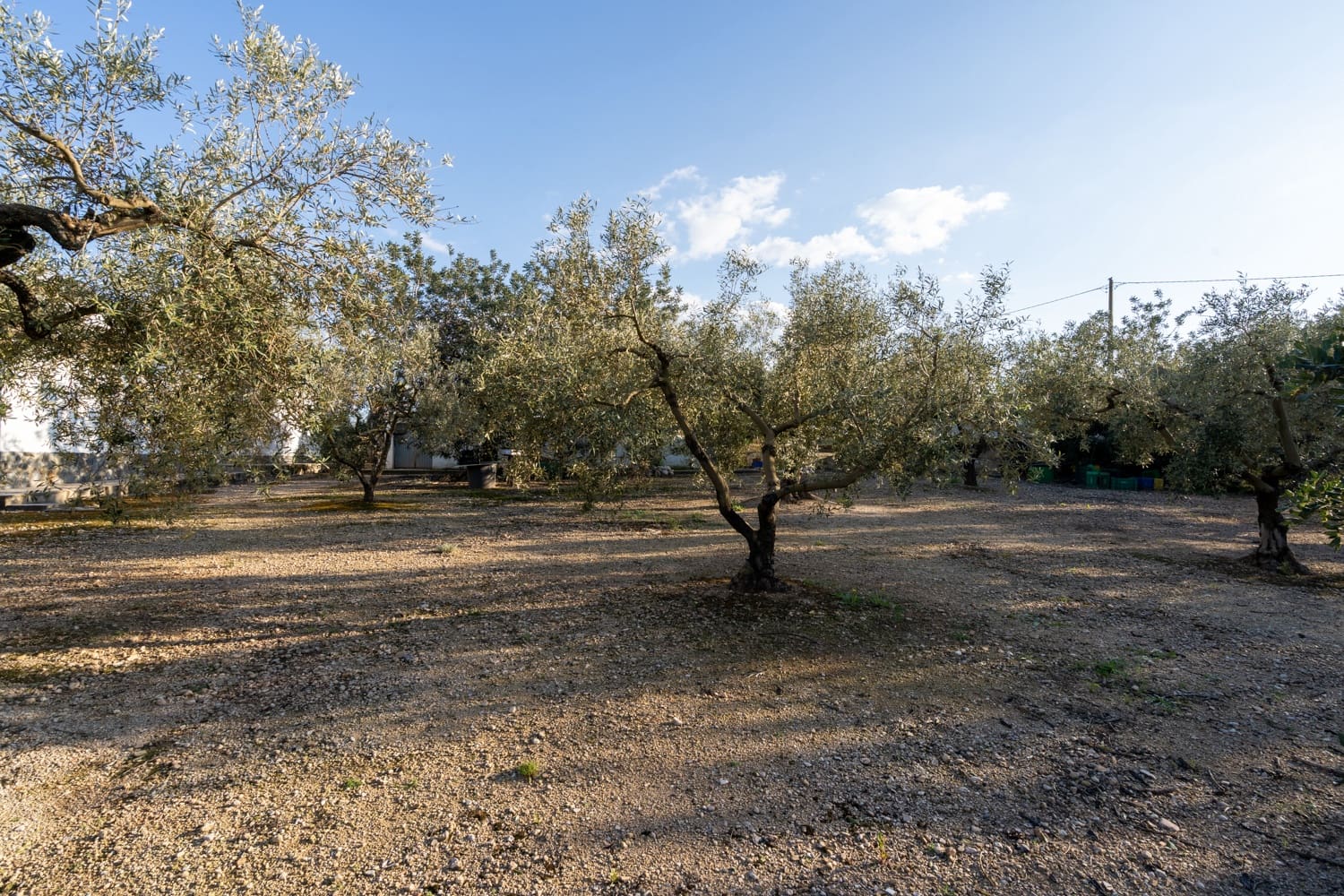 3 soverom Villa til salgs i Tortosa med svømmebasseng - € 375 000 (Ref: 8903175)