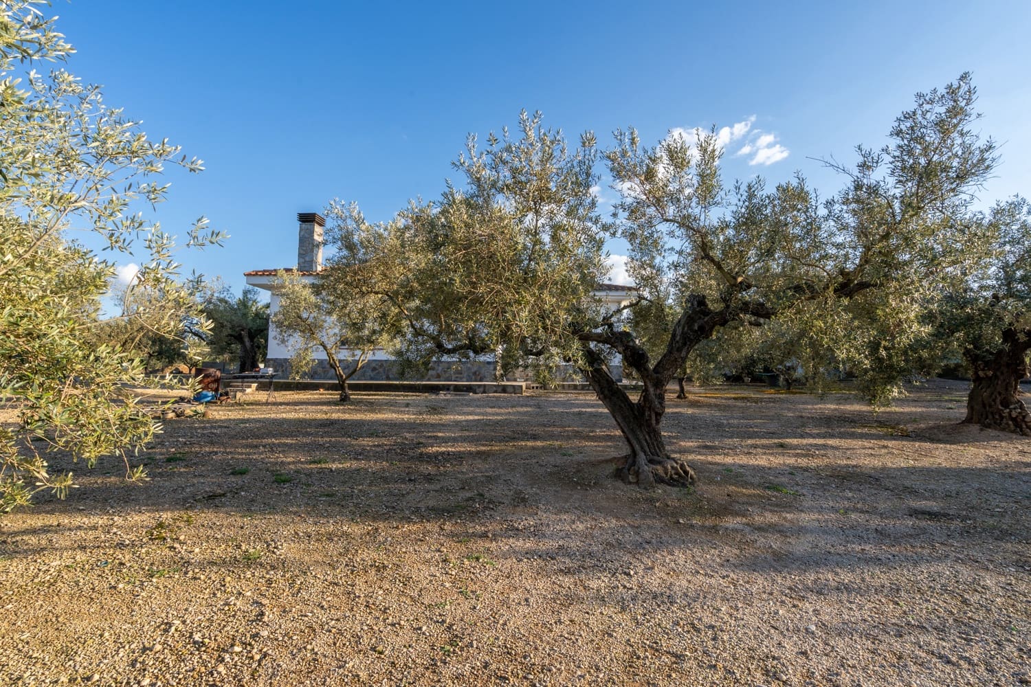 3 soverom Villa til salgs i Tortosa med svømmebasseng - € 375 000 (Ref: 8903175)