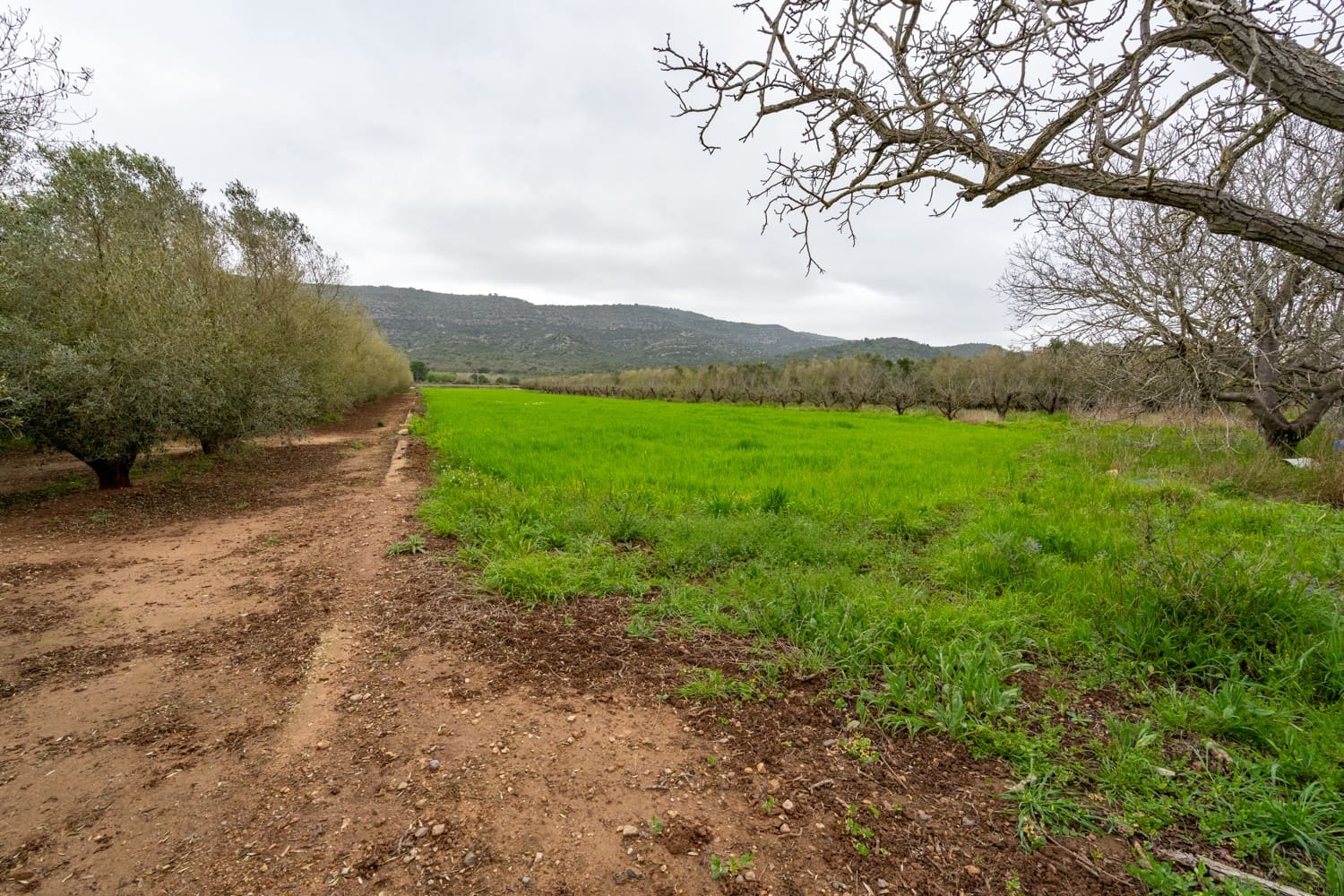 Finca/Maison de Campagne à vendre à Ulldecona - 80 000 € (Ref: 8915710)