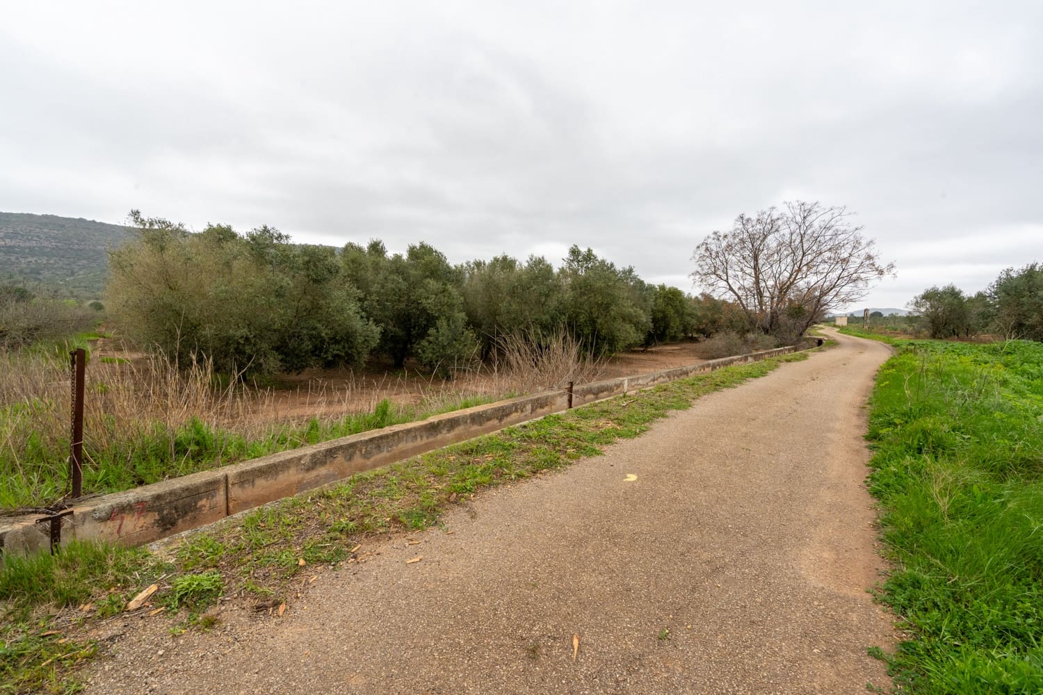 Finca/Maison de Campagne à vendre à Ulldecona - 80 000 € (Ref: 8915710)