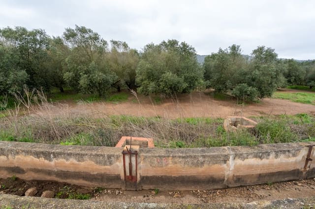 Finca/Country House for sale in Ulldecona - € 80,000 (Ref: 8915710)