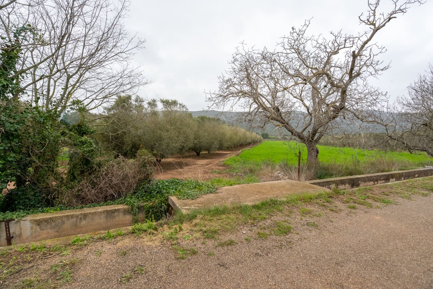 Finca/Maison de Campagne à vendre à Ulldecona - 80 000 € (Ref: 8915710)