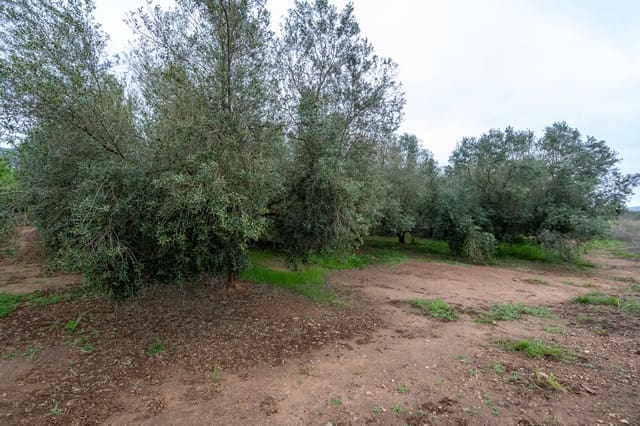 Quinta/Casa Rural para venda em Ulldecona - 80 000 € (Ref: 8915710)