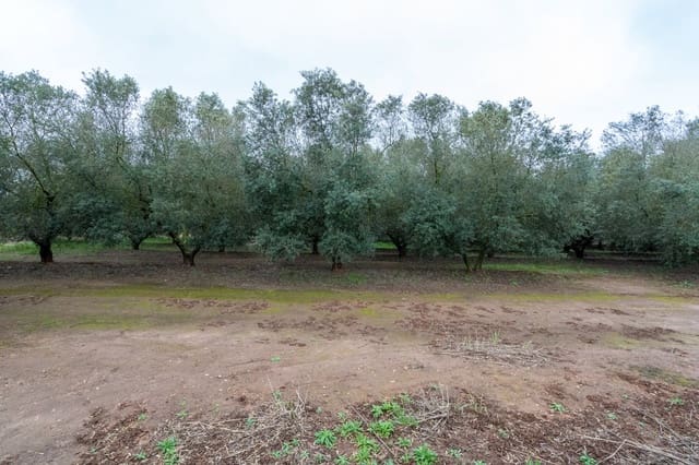 Quinta/Casa Rural para venda em Ulldecona - 80 000 € (Ref: 8915710)