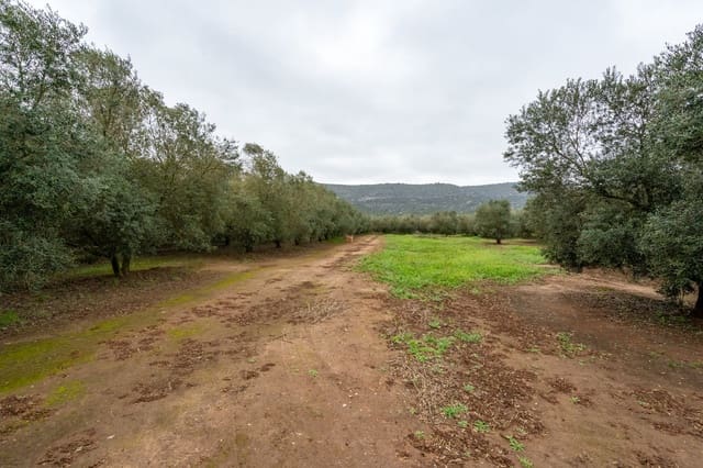 Quinta/Casa Rural para venda em Ulldecona - 80 000 € (Ref: 8915710)