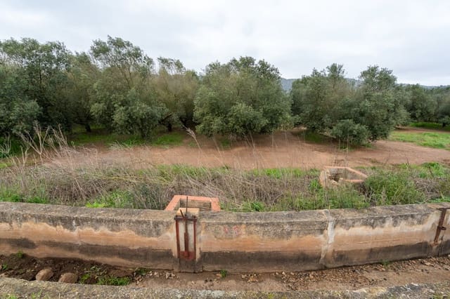 Quinta/Casa Rural para venda em Ulldecona - 80 000 € (Ref: 8915710)