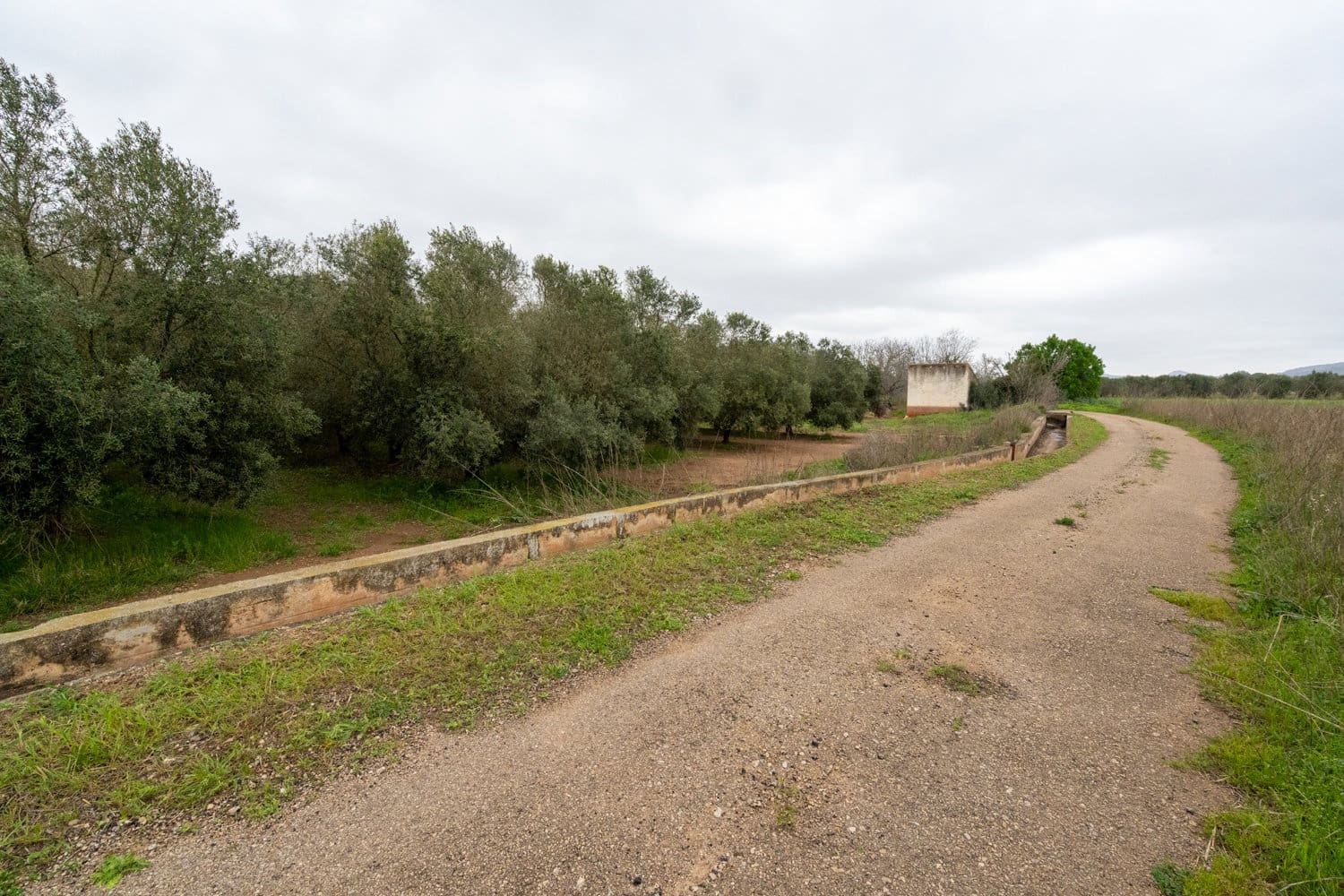 Finca/Country House for sale in Ulldecona - € 80,000 (Ref: 8915710)
