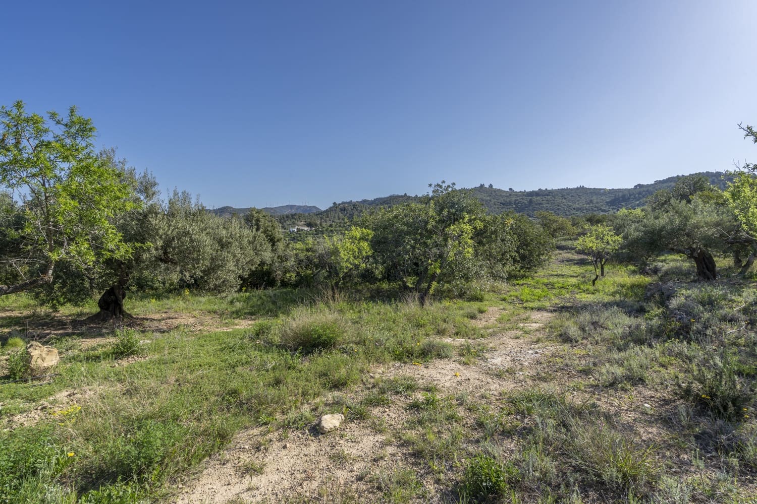 2 soveværelse Finca/Landehus til salg i Tortosa - € 220.000 (Ref: 8920168)