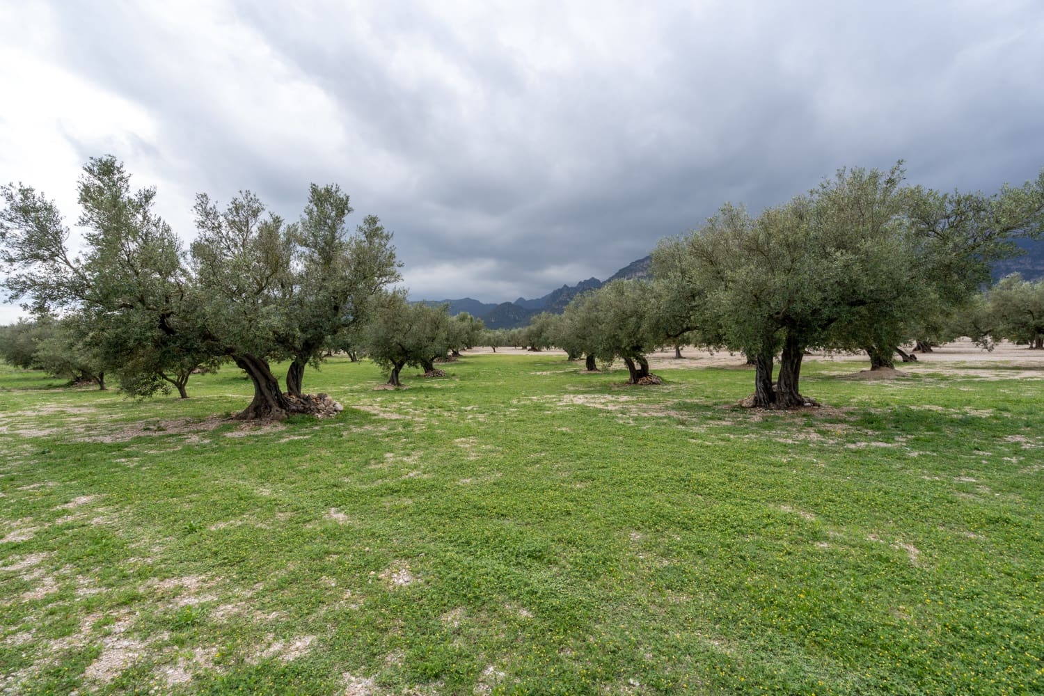 Finca/Landehus til salg i Roquetes - € 64.000 (Ref: 8927966)