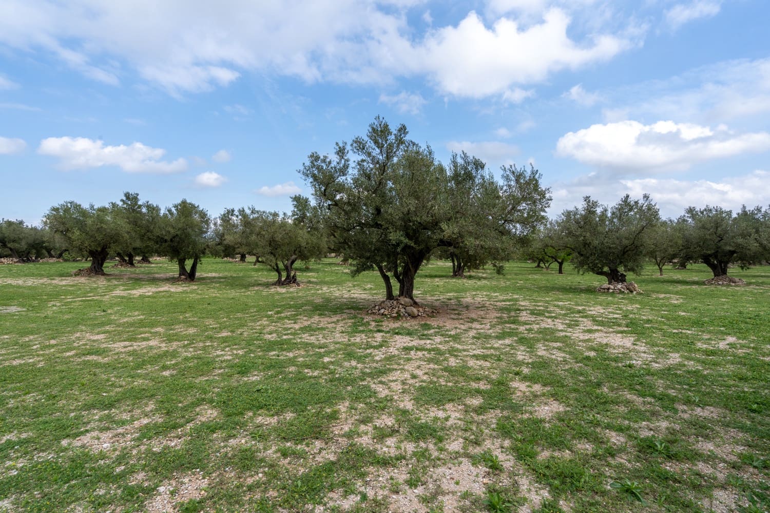 Finca/Landehus til salg i Roquetes - € 64.000 (Ref: 8927966)