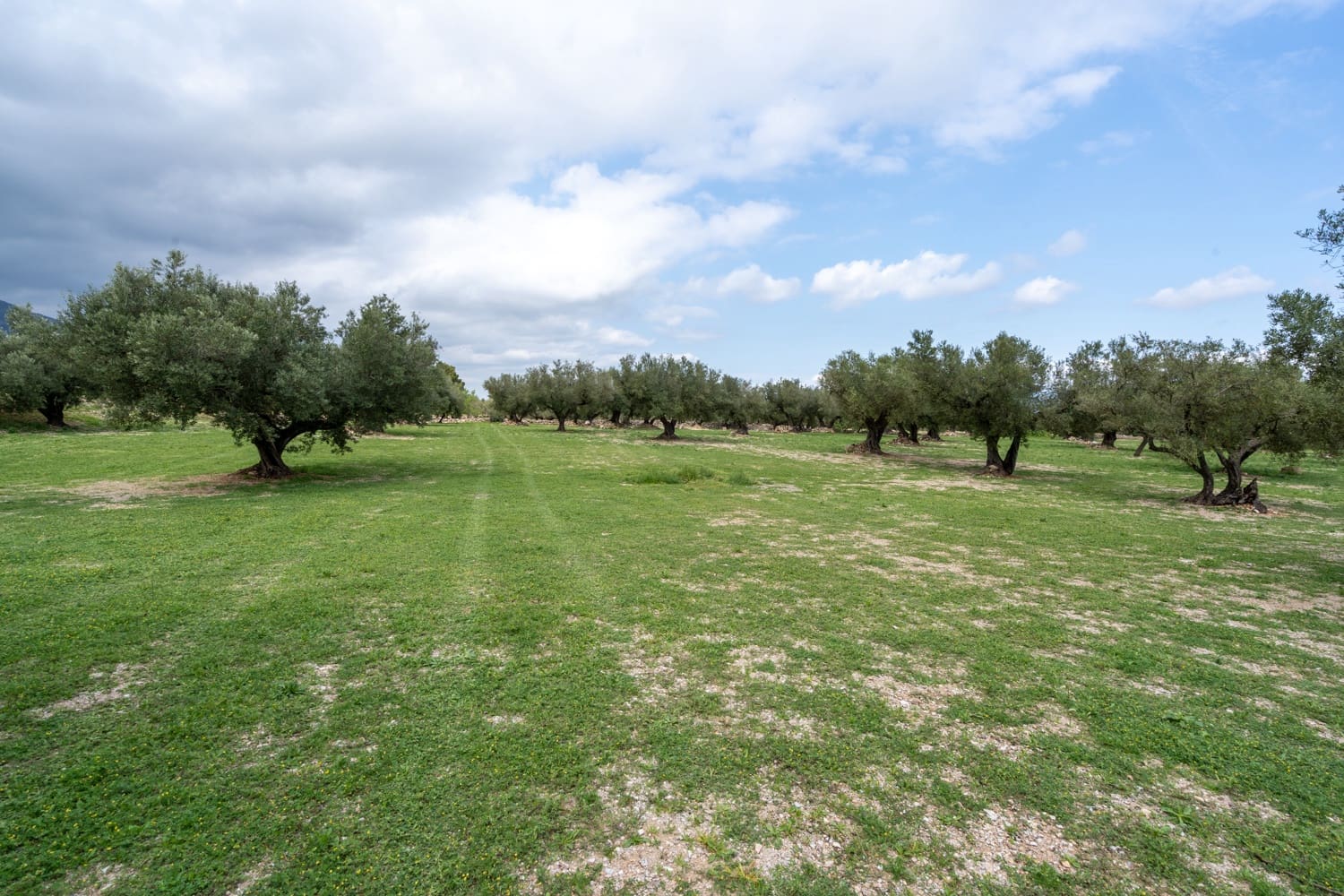 Finca/Landehus til salg i Roquetes - € 64.000 (Ref: 8927966)