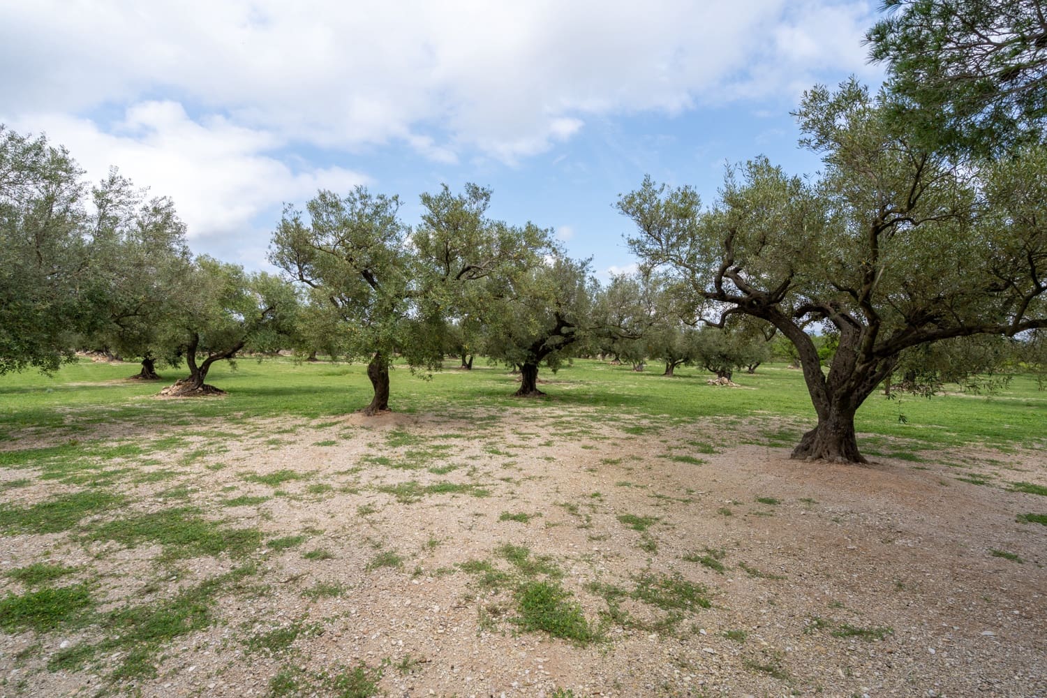 Finca/Landehus til salg i Roquetes - € 64.000 (Ref: 8927966)