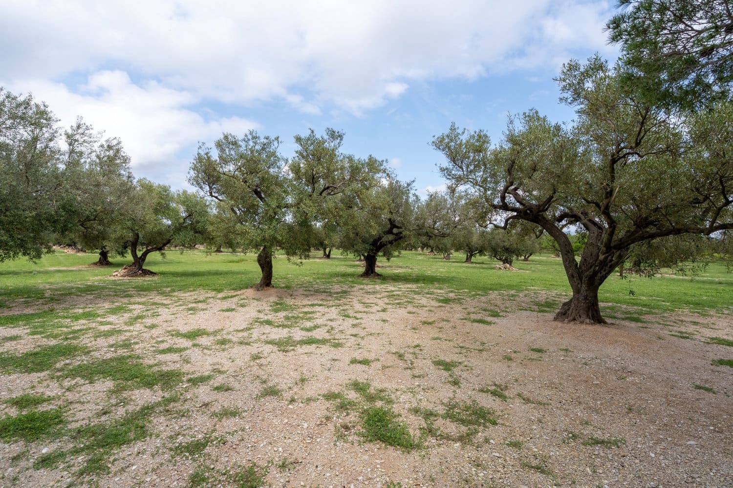 Finca/Country House for sale in Roquetes - € 64,000 (Ref: 8927966)