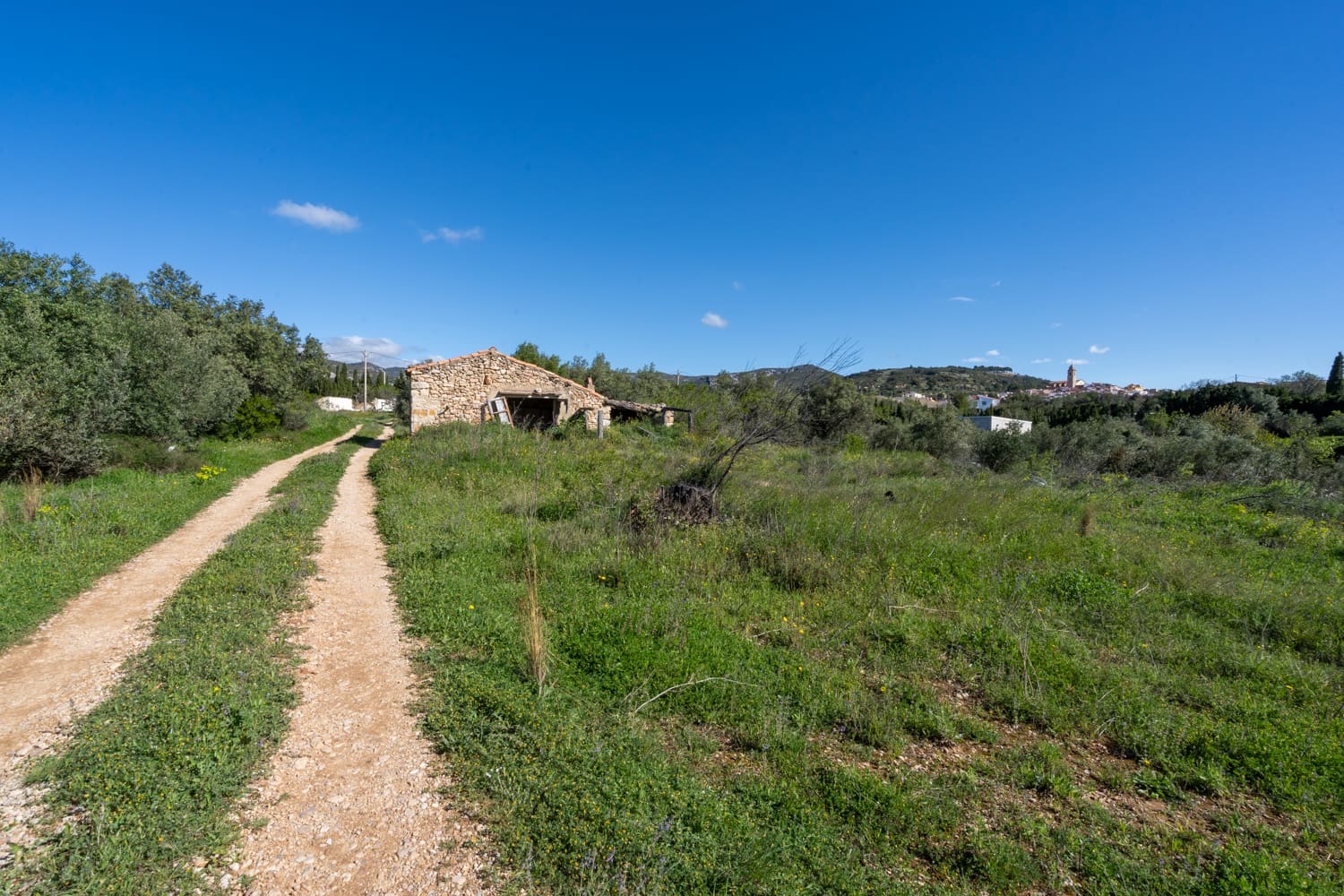 Terre non Aménagée à vendre à Rossell - 33 000 € (Ref: 8944301)