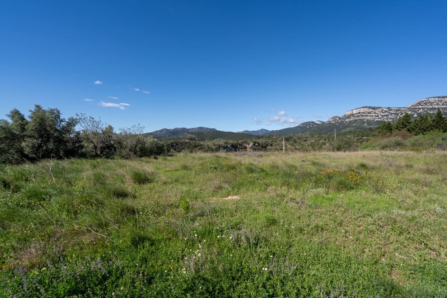 Terre non Aménagée à vendre à Rossell - 33 000 € (Ref: 8944301)