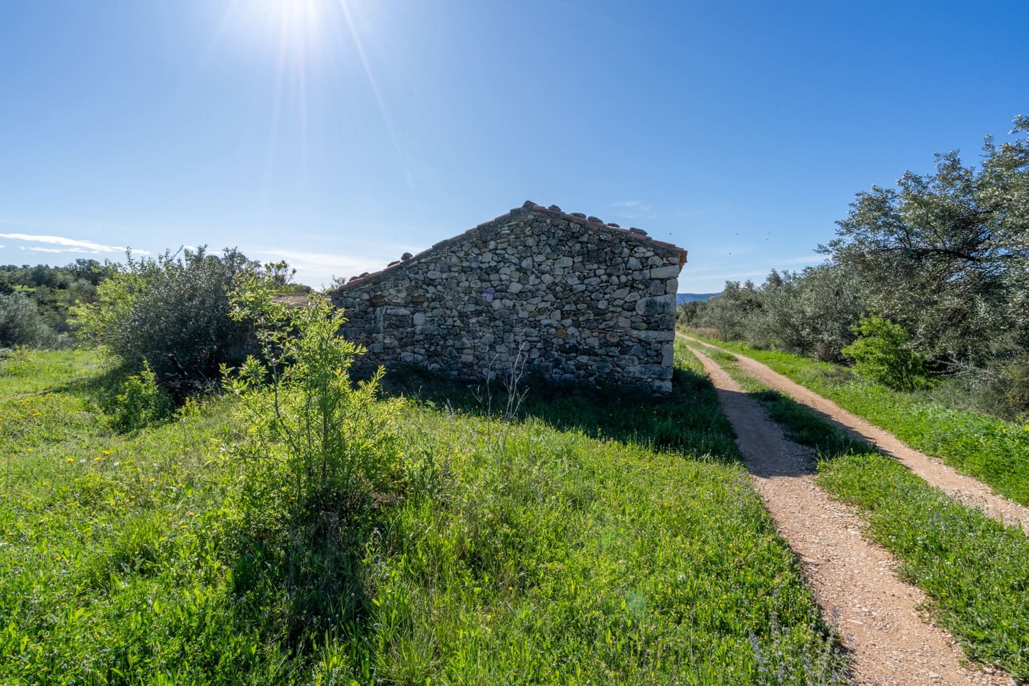 Terre non Aménagée à vendre à Rossell - 33 000 € (Ref: 8944301)