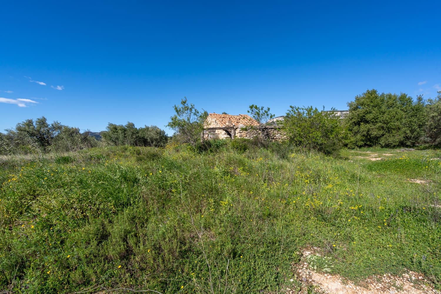 Terre non Aménagée à vendre à Rossell - 33 000 € (Ref: 8944301)