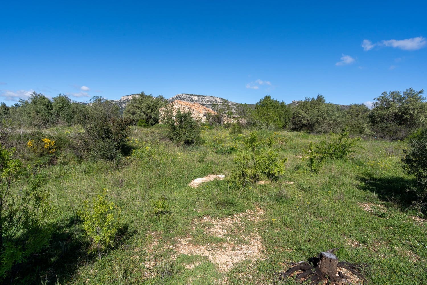 Grond te koop in Rossell - € 33.000 (Ref: 8944301)