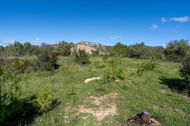 Grunde uden byggetilladelser til salg i Rossell - € 33.000 (Ref: 8944301)