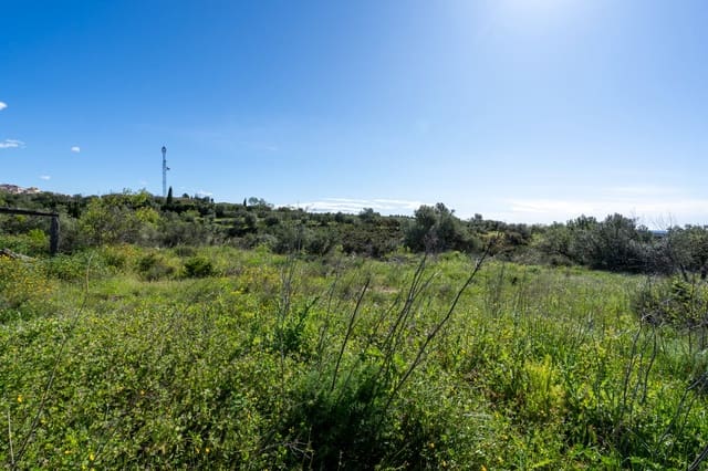 Grunde uden byggetilladelser til salg i Rossell - € 33.000 (Ref: 8944301)
