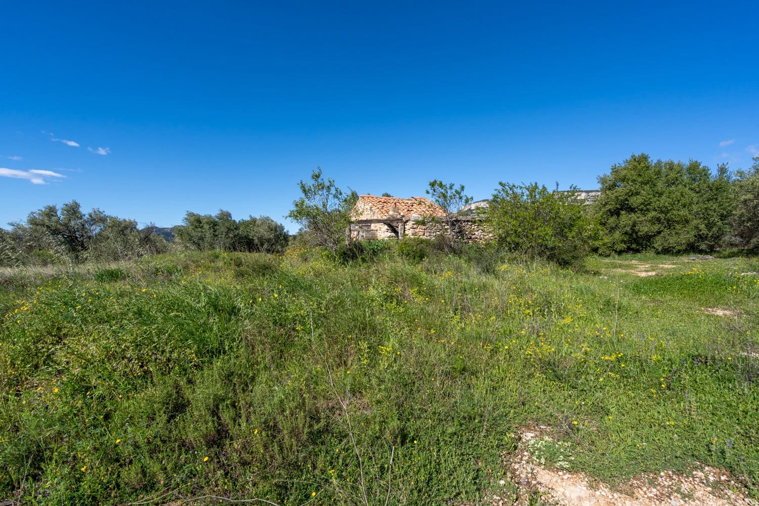 Grond te koop in Rossell - € 33.000 (Ref: 8944301)