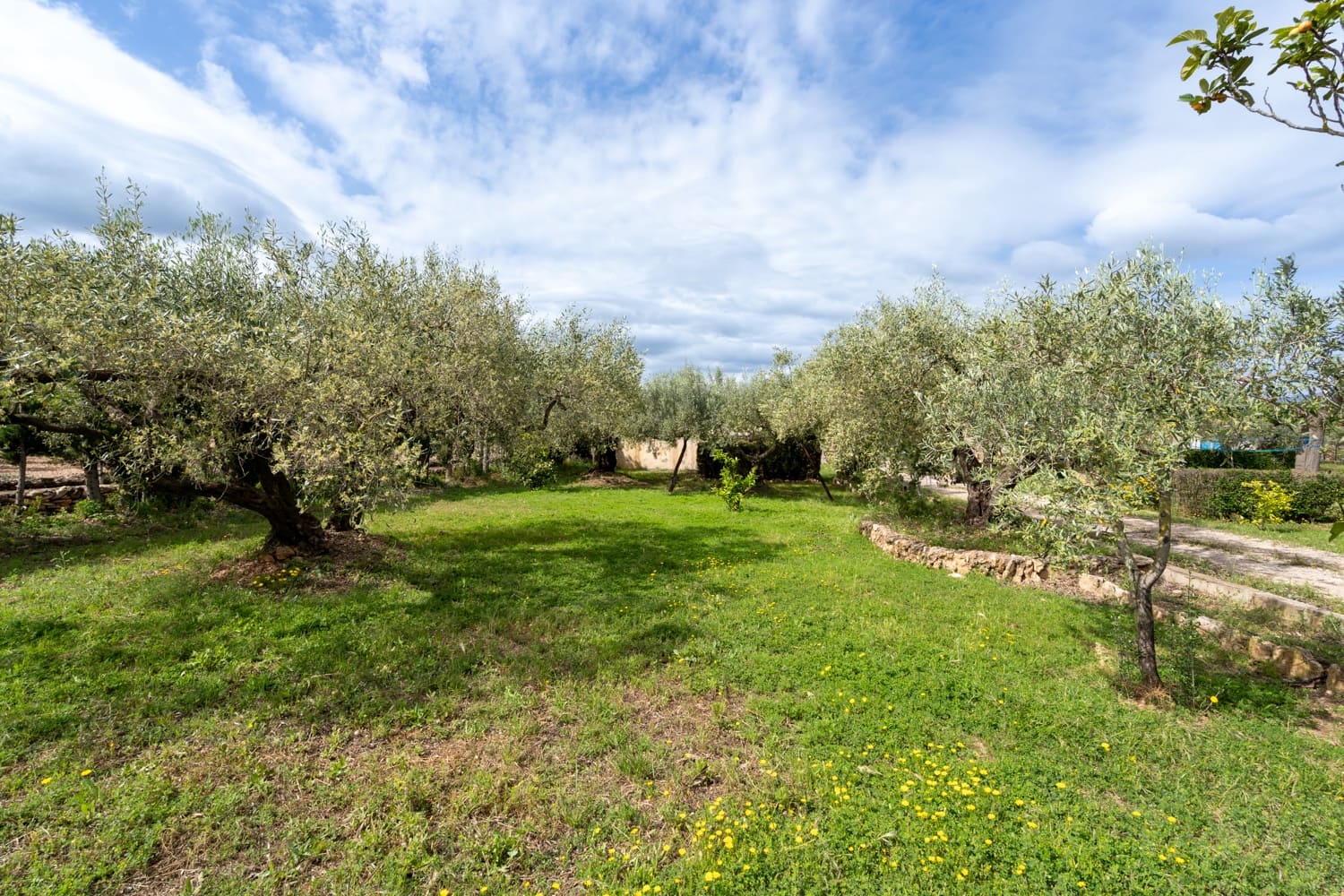 4 soveværelse Villa til salg i Aldover med swimmingpool - € 235.000 (Ref: 8958261)