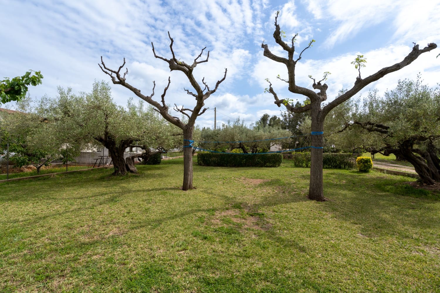 4 soveværelse Villa til salg i Aldover med swimmingpool - € 235.000 (Ref: 8958261)