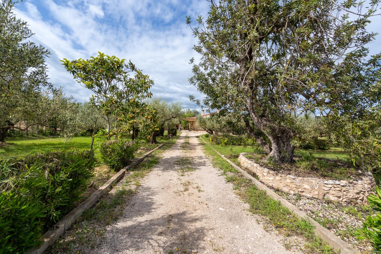 4 soveværelse Villa til salg i Aldover med swimmingpool - € 235.000 (Ref: 8958261)