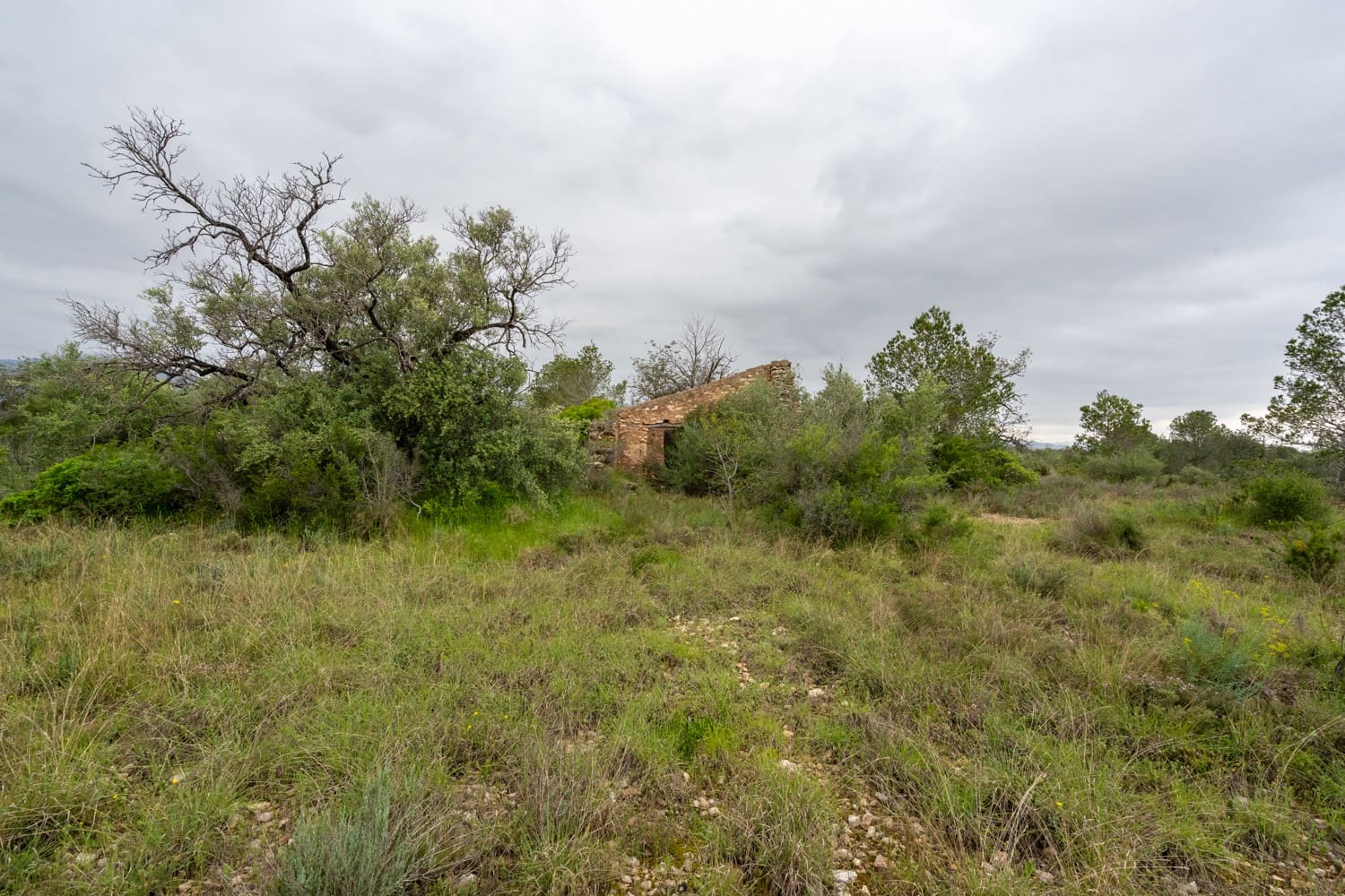 Finka/Dom wiejski na sprzedaż w Tortosa - 13 000 € (Ref: 8962640)